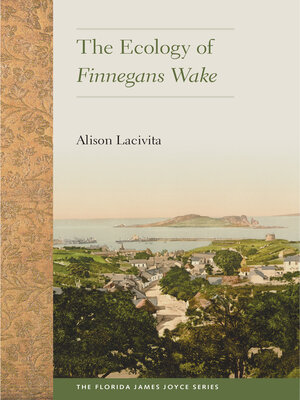 cover image of The Ecology of Finnegans Wake